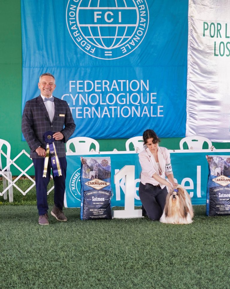 kennel club6