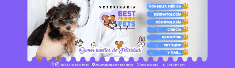 portada pt