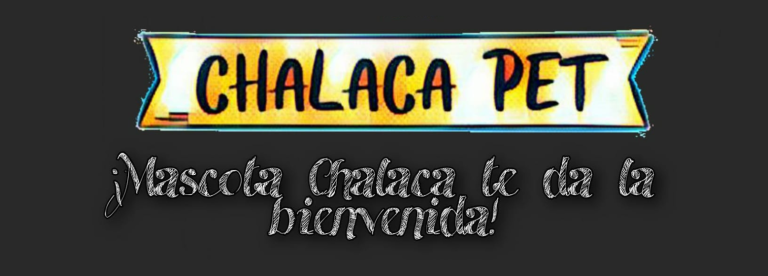 portada pt