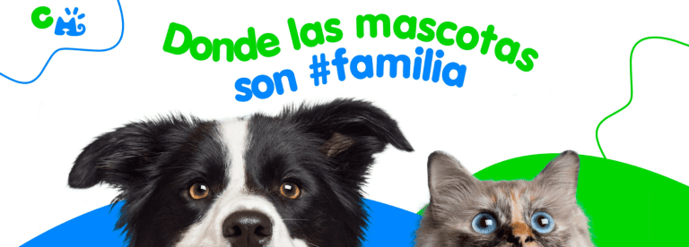 portada pt