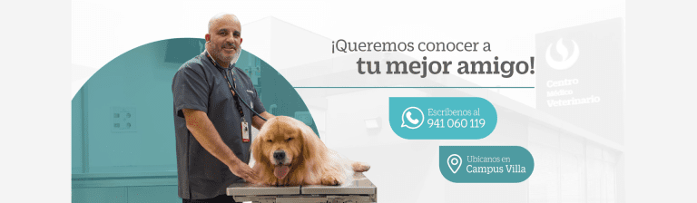 portada pt