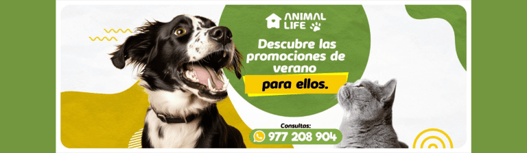 portada pt