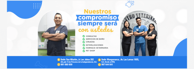 portada pt