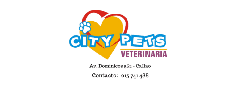 portada pt