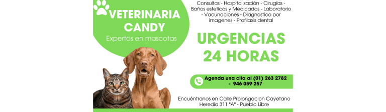 portada pt