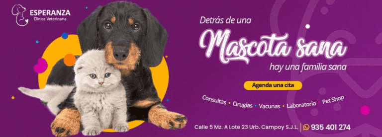 portada pt