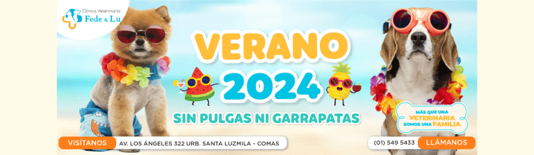 portada pt