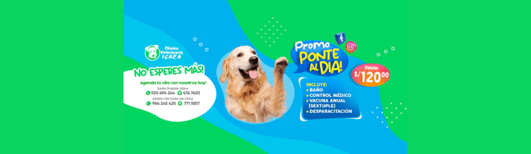 portada pt