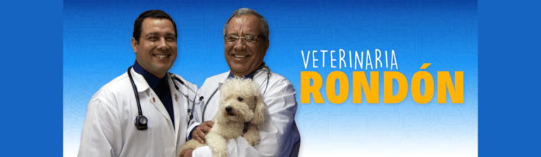 portada pt