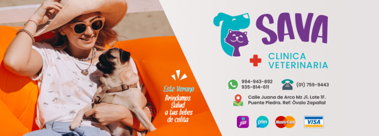 portada pt