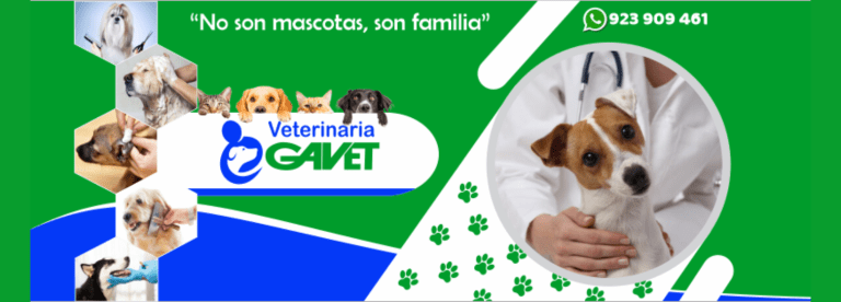 portada pt