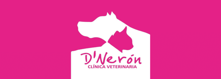 portada pt