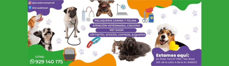 portada pt