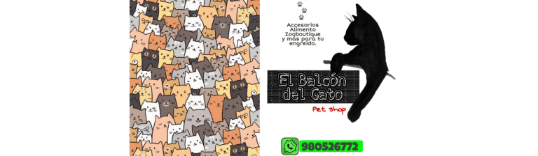 portada pt