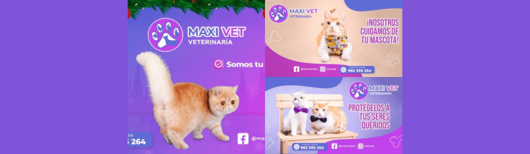 portada pt