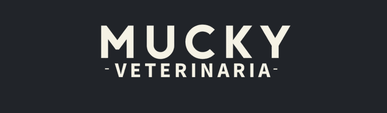 portada pt