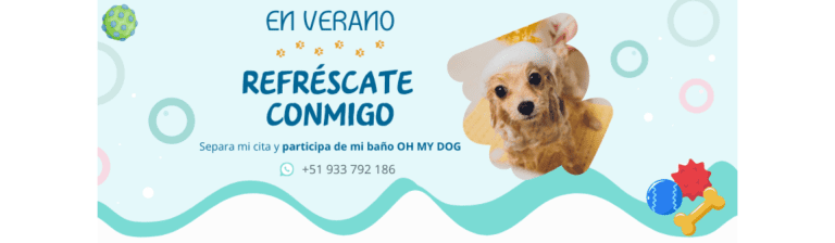 portada pt