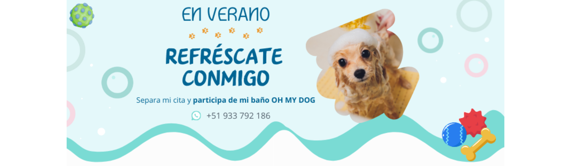 Oh My Dog! Veterinaria & Boutique