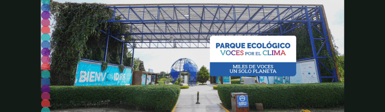 portada pt