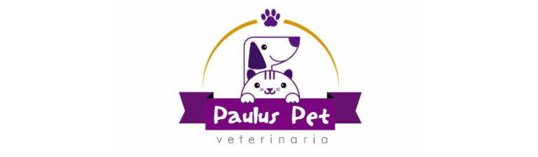 portada pt