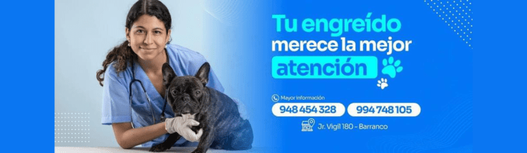 portada pt