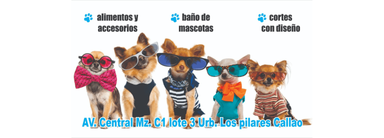 portada pt
