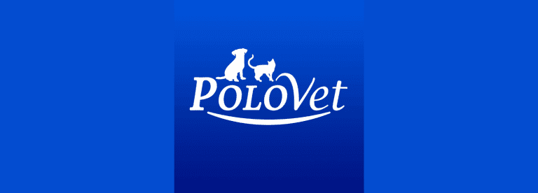 portada pt