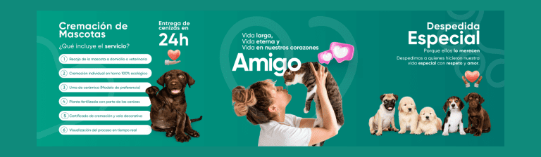 portada pt