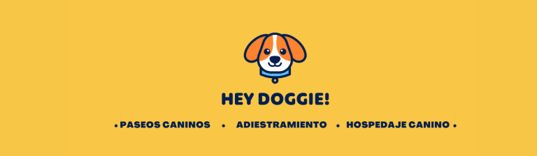 portada pt