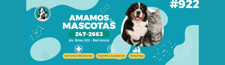 portada pt