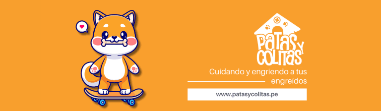 portada pt