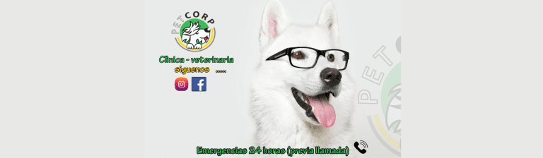 portada pt