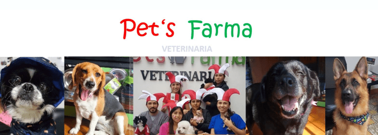 portada pt