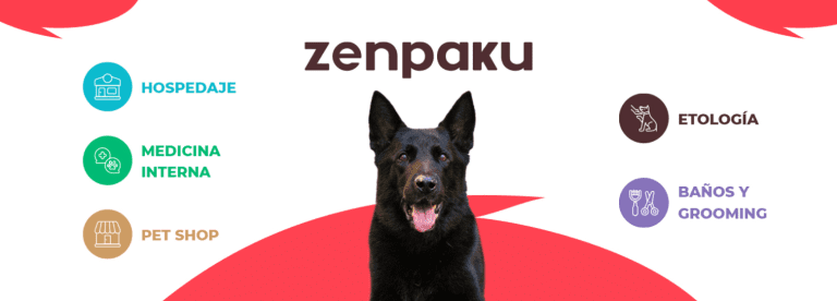 portada pt