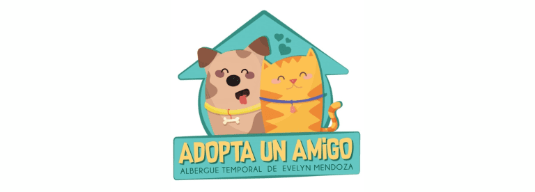 portada pt