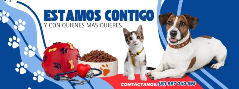 portada pt