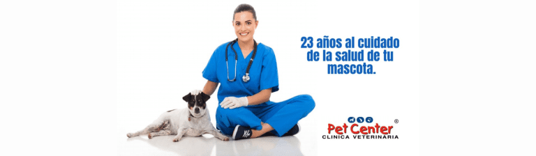 portada pt