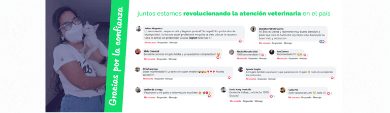 portada pt