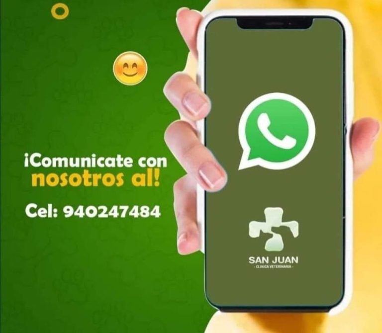 vet san juan 5
