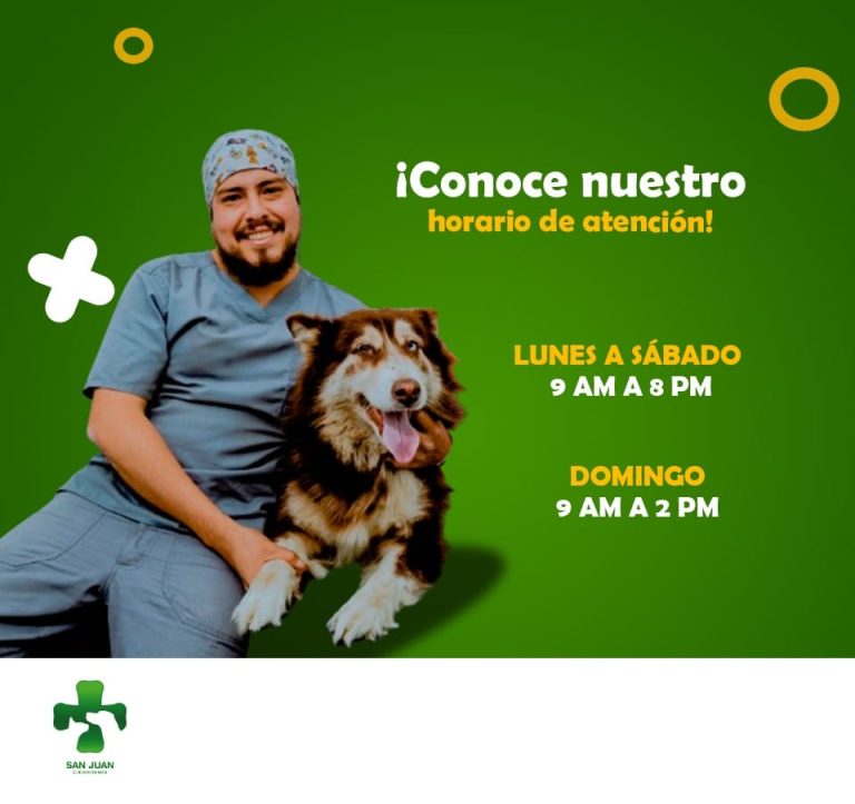 vet san juan 3