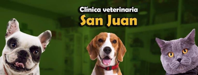 portada san juan