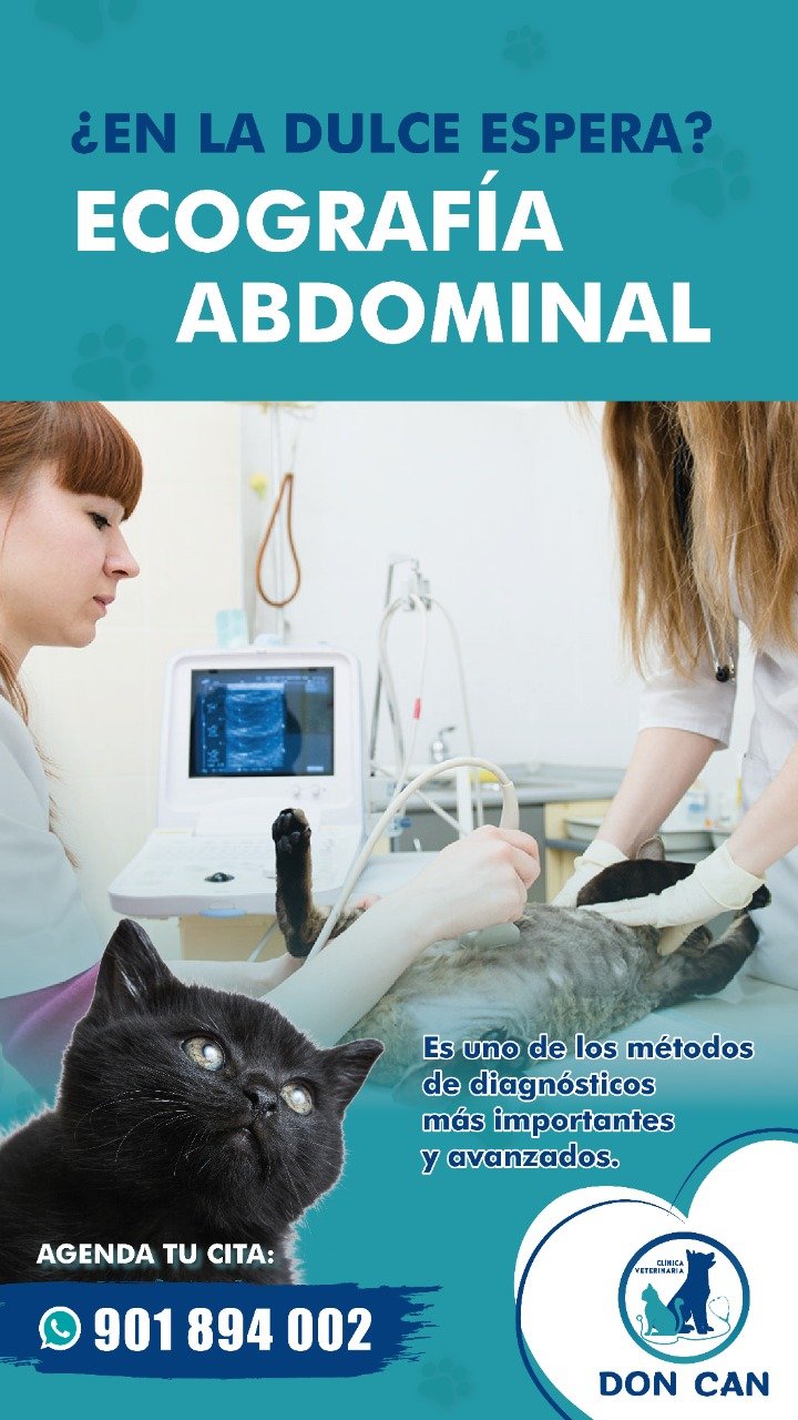 veterinaria don can