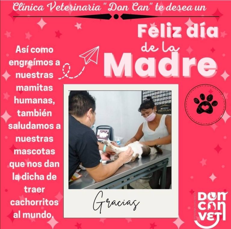 veterinaria don can 2