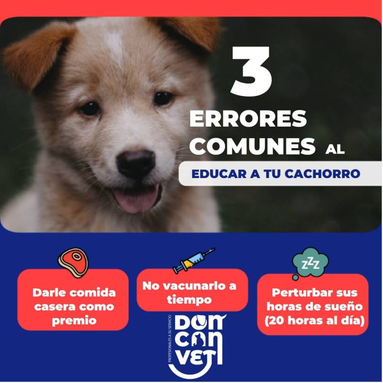 veterinaria don can 1