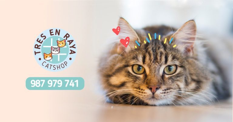Tres en Raya Cat Shop