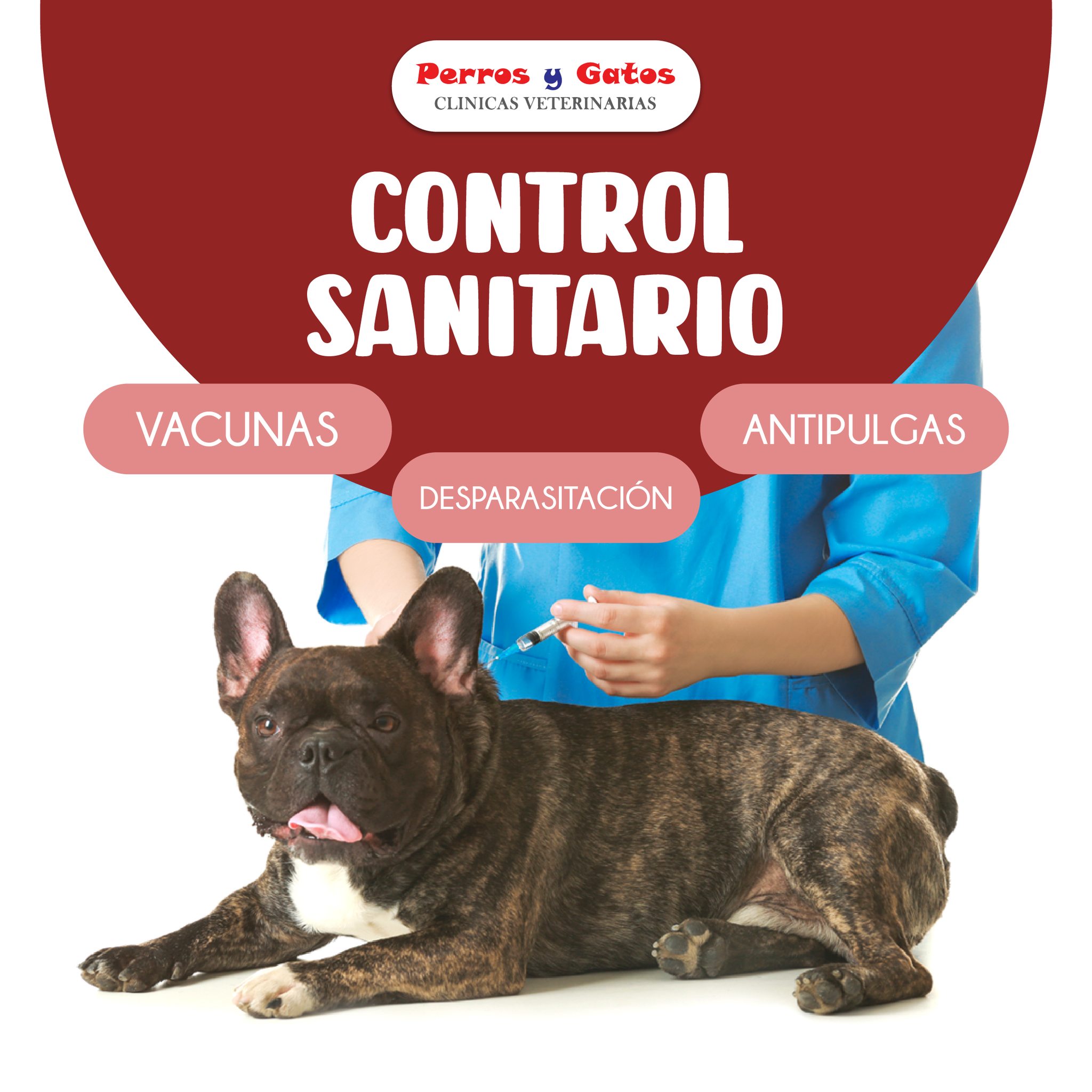 Veterinaria Perros y Gatos