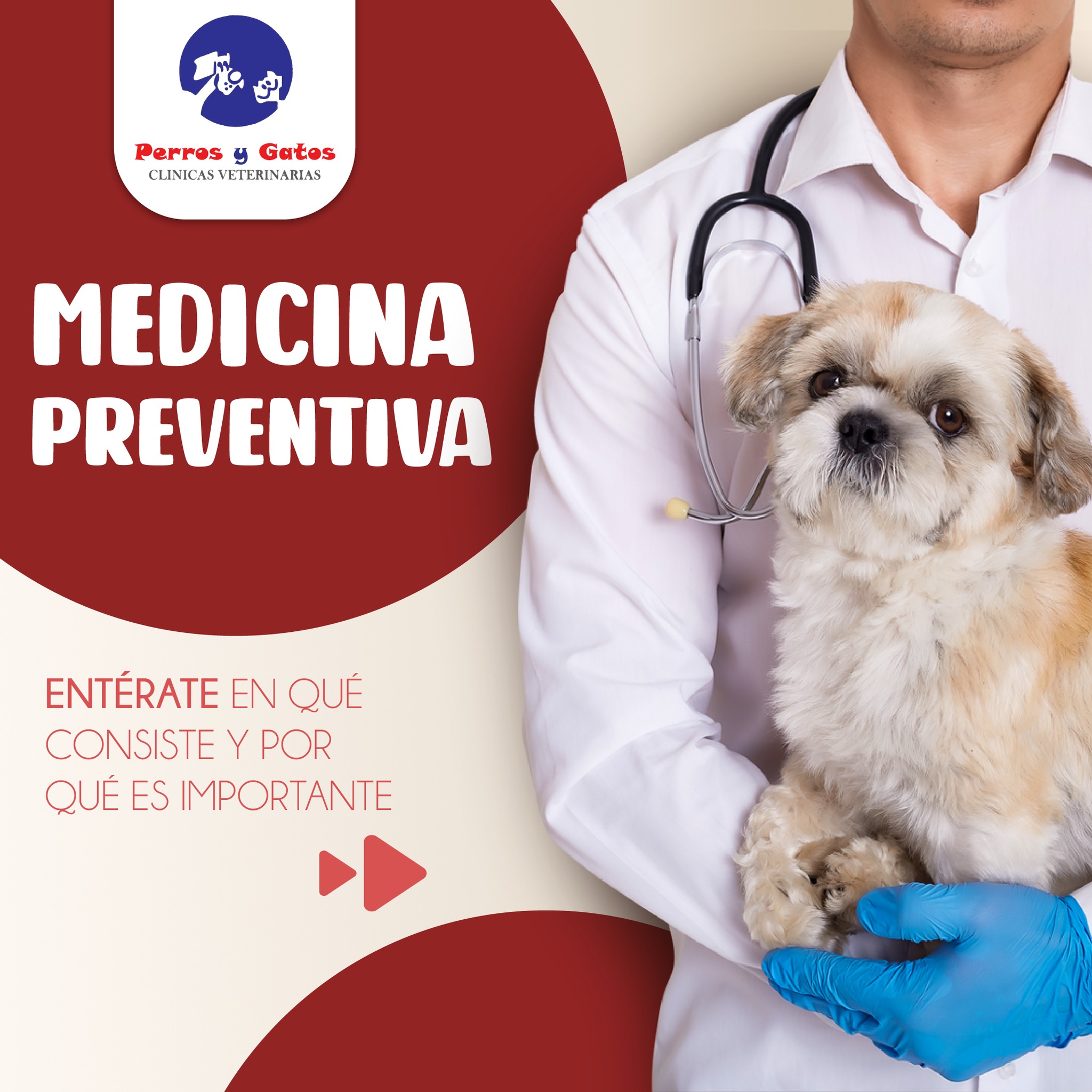 Veterinaria Perros y Gatos