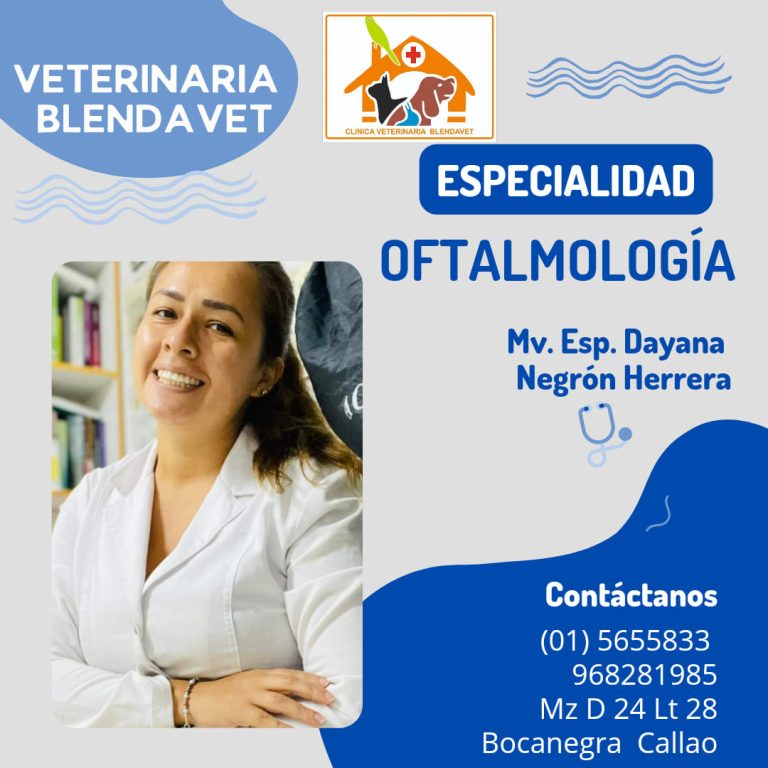 Blendavet 4