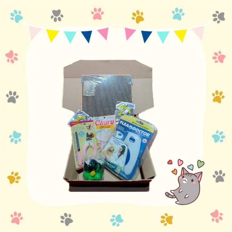 Tres en Raya Cat Shop