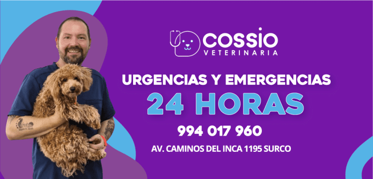 Veterinaria Cossio